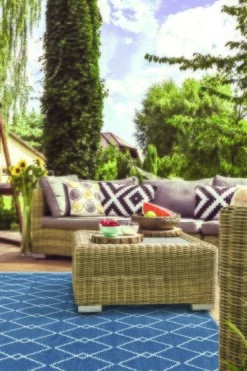 Buitenkleed MESH Royal Blue / White - 180 X 120 Cm -Exporteren Tuin Helper Winkel buitenkleed mesh royal blue white 180 x 120 cm 533x800 624ae3f554936 l