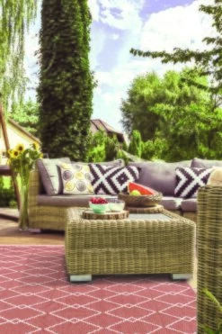 Buitenkleed MESH Terra / White - 230 X 160 Cm 7 Buitenkleed MESH Terra / White - 230 X 160 Cm -Exporteren Tuin Helper Winkel buitenkleed mesh terra white 230 x 160 cm 533x800 624ae3f9cee67 l