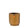 Capi Europe Vaas Cilinder Retro 23x25 Goud 2 Capi Europe Vaas Cilinder Retro 23x25 Goud -Exporteren Tuin Helper Winkel capi europe vaas cilinder retro 23x25 goud 1000x939 62062eb36dd4b l
