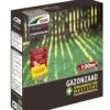 DCM Graszaad Ombra Plus (1,5 Kg) 2 DCM Graszaad Ombra Plus (1,5 Kg) -Exporteren Tuin Helper Winkel dcm graszaad ombra plus 1586240790 1 l