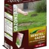 DCM Graszaad RiparoĀ® 2 DCM Graszaad RiparoĀ® -Exporteren Tuin Helper Winkel dcm graszaad riparo 1586240793 3 l