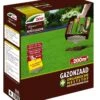 DCM Graszaad Riparo Plus (2,6 Kg) -Exporteren Tuin Helper Winkel dcm graszaad riparo plus 1586240789 2 l