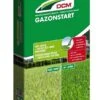 DCM Meststof Gazonstart (MG) (10 Kg) -Exporteren Tuin Helper Winkel dcm meststof gazonstart 1586240779 1 l