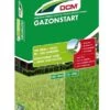 DCM Meststof Gazonstart -Exporteren Tuin Helper Winkel dcm meststof gazonstart 1586240779 l