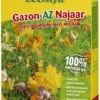 ECOstyle Gazon-AZ Najaar 2 Kg -Exporteren Tuin Helper Winkel ecostyle gazon az najaar 2 kg 1614086099 l