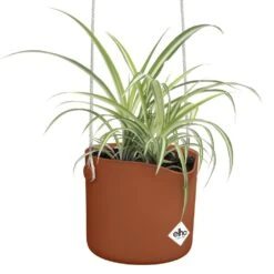 Elho B.for Swing 18 Cm Bruin -Exporteren Tuin Helper Winkel elho b for swing 18 cm bruin 1000x1000 64aebb4d46d37 l