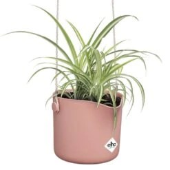 Elho B.for Swing 18 Cm Roze -Exporteren Tuin Helper Winkel elho b for swing 18 cm roze 1000x1000 64aebb4331e65 l