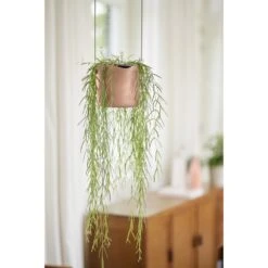 Elho B.for Swing 18 Cm Roze -Exporteren Tuin Helper Winkel elho b for swing 18 cm roze 1000x1000 64aebb450b440 l