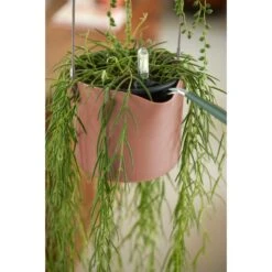 Elho B.for Swing 18 Cm Roze -Exporteren Tuin Helper Winkel elho b for swing 18 cm roze 1000x1000 64aebb45b65fe l