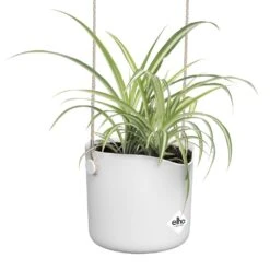 Elho B.for Swing 18 Cm Wit -Exporteren Tuin Helper Winkel elho b for swing 18 cm wit 1000x1000 64aebb3fd475e l