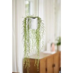 Elho B.for Swing 18 Cm Wit -Exporteren Tuin Helper Winkel elho b for swing 18 cm wit 1000x1000 64aebb40d9064 l