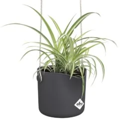 Elho B.for Swing 18 Cm Zwart -Exporteren Tuin Helper Winkel elho b for swing 18 cm zwart 1000x1000 64aebb50ad8cd l