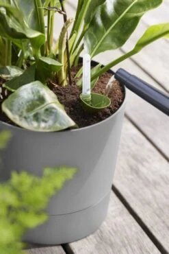 Elho Bloempot Greensense Aqua Care Rond 30cm Grijs 14 Elho Bloempot Greensense Aqua Care Rond 30cm Grijs -Exporteren Tuin Helper Winkel elho bloempot greensense aqua care rond 30cm grijs 534x800 620e3d8dee41a l