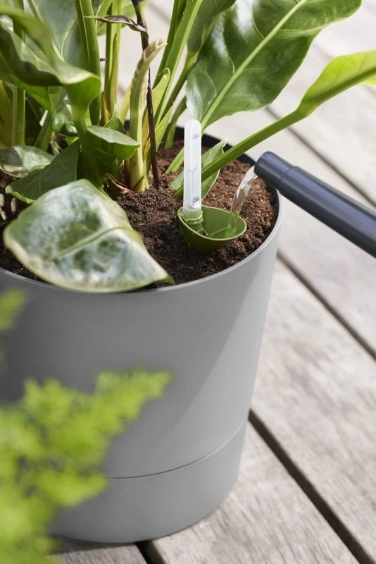 Elho Bloempot Greensense Aqua Care Rond 30cm Grijs 8 Elho Bloempot Greensense Aqua Care Rond 30cm Grijs - Afbeelding 6