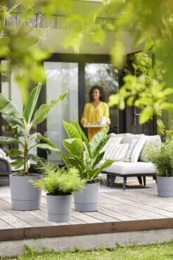 Elho Bloempot Greensense Aqua Care Rond 30cm Grijs 15 Elho Bloempot Greensense Aqua Care Rond 30cm Grijs -Exporteren Tuin Helper Winkel elho bloempot greensense aqua care rond 30cm grijs 534x800 620e3d8e2ff41 l