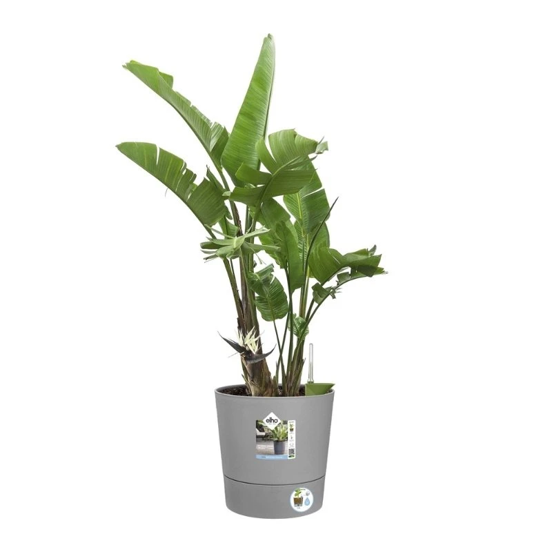 Elho Bloempot Greensense Aqua Care Rond 30cm Grijs 5 Elho Bloempot Greensense Aqua Care Rond 30cm Grijs - Afbeelding 3