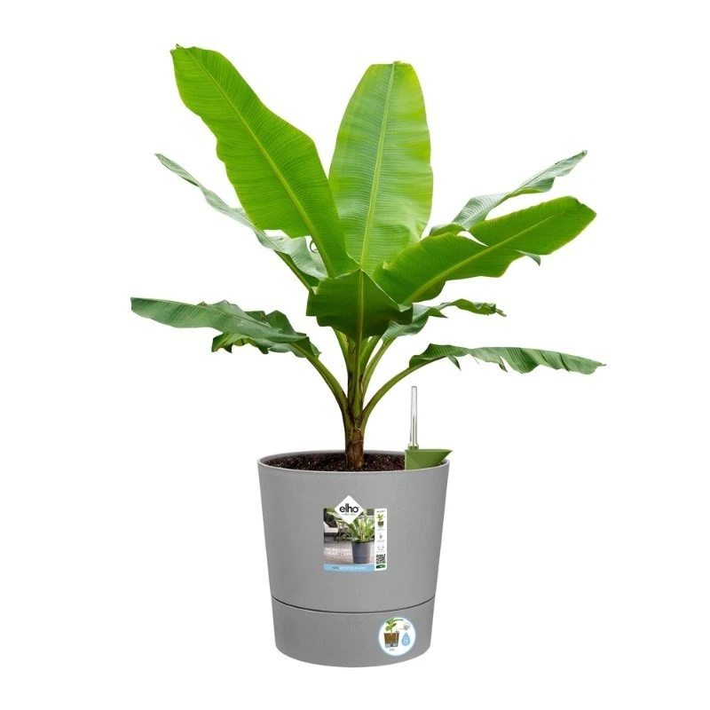 Elho Bloempot Greensense Aqua Care Rond 30cm Grijs 6 Elho Bloempot Greensense Aqua Care Rond 30cm Grijs - Afbeelding 4