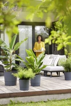 Elho Bloempot Greensense Aqua Care Rond 43cm Grijs -Exporteren Tuin Helper Winkel elho bloempot greensense aqua care rond 43cm grijs 534x800 620e3d9712ebf l