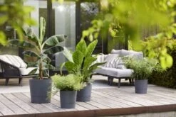 Elho Bloempot Greensense Aqua Care Rond 43cm Grijs -Exporteren Tuin Helper Winkel elho bloempot greensense aqua care rond 43cm grijs 800x534 620e3d974ab62 l