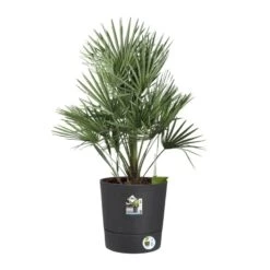 Elho Bloempot Greensense Aqua Care Rond 43cm Grijs -Exporteren Tuin Helper Winkel elho bloempot greensense aqua care rond 43cm grijs 800x800 620e3d965011b l