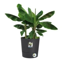 Elho Bloempot Greensense Aqua Care Rond 43cm Grijs -Exporteren Tuin Helper Winkel elho bloempot greensense aqua care rond 43cm grijs 800x800 620e3d969ce20 l