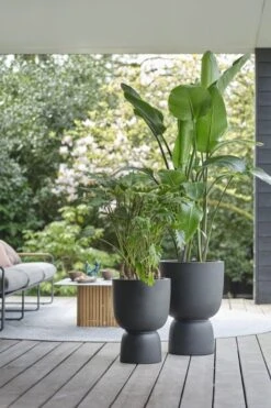 Elho Bloempot Pure Coupe 35cm Zwart -Exporteren Tuin Helper Winkel elho bloempot pure coupe 35cm zwart 533x800 620e3cf7d18bd l