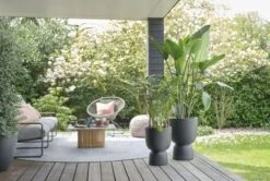 Elho Bloempot Pure Coupe 35cm Zwart -Exporteren Tuin Helper Winkel elho bloempot pure coupe 35cm zwart 800x537 620e3cf78f67c l