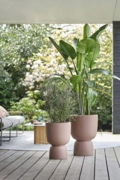 Elho Bloempot Pure Coupe 41cm Bruin 15 Elho Bloempot Pure Coupe 41cm Bruin -Exporteren Tuin Helper Winkel elho bloempot pure coupe 41cm bruin 534x800 620e3d1775e77 l