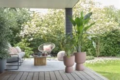 Elho Bloempot Pure Coupe 41cm Bruin 14 Elho Bloempot Pure Coupe 41cm Bruin -Exporteren Tuin Helper Winkel elho bloempot pure coupe 41cm bruin 800x537 620e3d16c21ad l