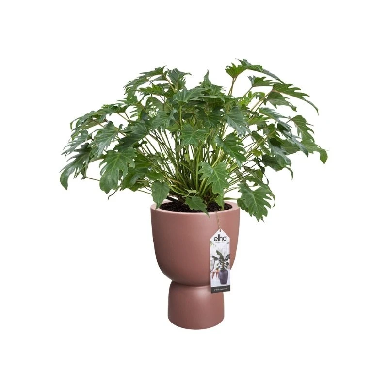 Elho Bloempot Pure Coupe 41cm Bruin 6 Elho Bloempot Pure Coupe 41cm Bruin - Afbeelding 4