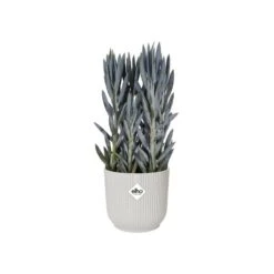Elho Bloempot Vibes Fold Rond 30cm Wit -Exporteren Tuin Helper Winkel elho bloempot vibes fold rond 30cm wit 800x800 620e3ce4a4267 l