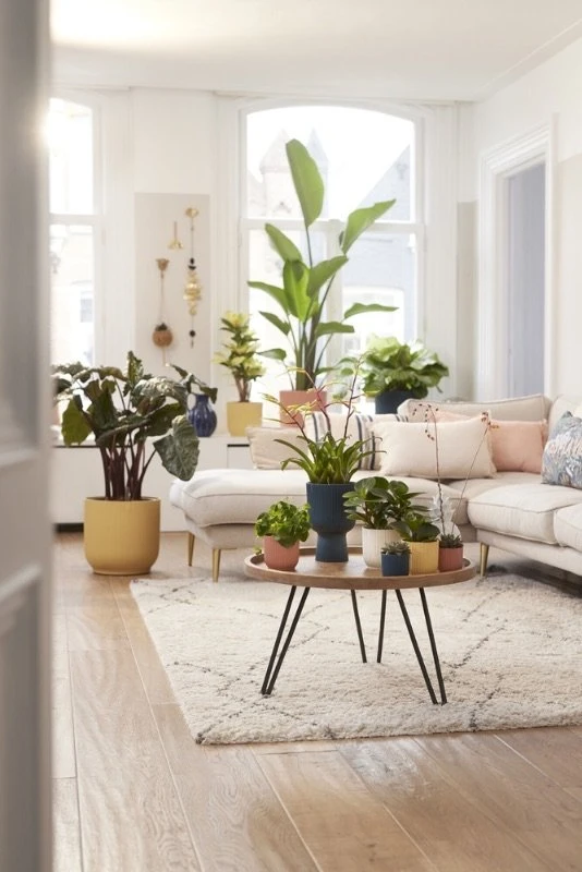 Elho Bloempot Vibes Fold Rond Wielen 35cm Blauw 7 Elho Bloempot Vibes Fold Rond Wielen 35cm Blauw - Afbeelding 5