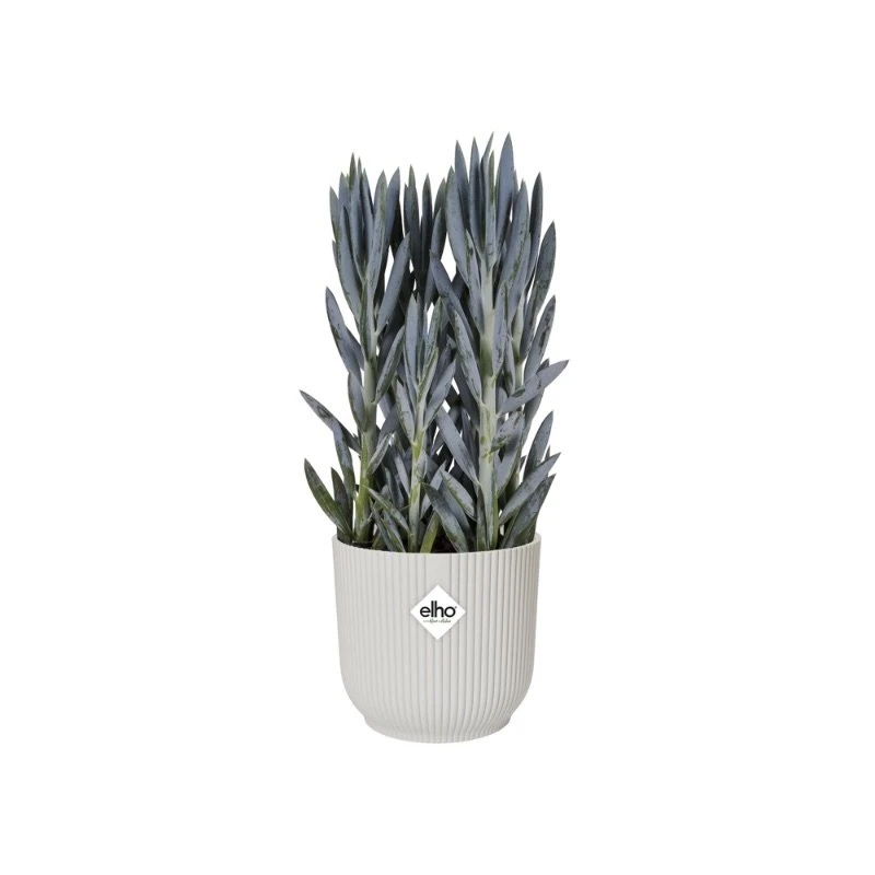 Elho Bloempot Vibes Fold Rond Wielen 35cm Wit 4 Elho Bloempot Vibes Fold Rond Wielen 35cm Wit - Afbeelding 2