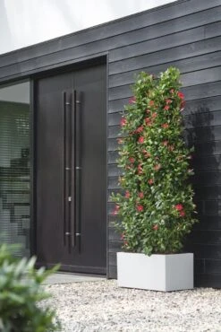 Elho Bloempot Vivo Next Lang 80cm Wit