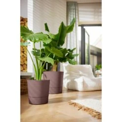 Elho Greensense Aqua Care Rond 35 Cm Bruin 17 Elho Greensense Aqua Care Rond 35 Cm Bruin -Exporteren Tuin Helper Winkel elho greensense aqua care rond 35 cm bruin 1000x1000 64aebaa330d2a l