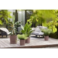 Elho Greensense Aqua Care Rond 43 Cm Bruin 15 Elho Greensense Aqua Care Rond 43 Cm Bruin -Exporteren Tuin Helper Winkel elho greensense aqua care rond 43 cm bruin 1000x1000 64aeba9cd88bd l