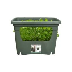 Elho Plantenbak Green Basics Stack & Grow Large Groen -Exporteren Tuin Helper Winkel elho plantenbak green basics stack grow large groen 800x800 620e3d4daa1b4 l
