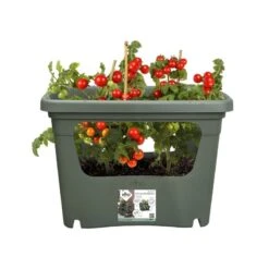 Elho Plantenbak Green Basics Stack & Grow Large Groen -Exporteren Tuin Helper Winkel elho plantenbak green basics stack grow large groen 800x800 620e3d4de4622 l