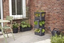 Elho Plantenbak Green Basics Stack & Grow Large Zwart -Exporteren Tuin Helper Winkel elho plantenbak green basics stack grow large zwart 800x534 620e3d4f78fb3 l