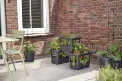 Elho Plantenbak Green Basics Stack & Grow Large Zwart -Exporteren Tuin Helper Winkel elho plantenbak green basics stack grow large zwart 800x534 620e3d4fc59c1 l