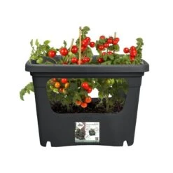 Elho Plantenbak Green Basics Stack & Grow Large Zwart -Exporteren Tuin Helper Winkel elho plantenbak green basics stack grow large zwart 800x800 620e3d4eed857 l