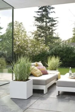 Elho Plantenbak Vivo Next Vierkant 30cm Wit