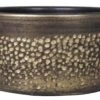Floran Schaal Emma D29 H14cm Goud -Exporteren Tuin Helper Winkel floran schaal emma d29 h14cm goud 800x517 627e57b48bac6 l