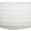 Floran Schaal Lena D29 H14cmcm Wit Mat -Exporteren Tuin Helper Winkel floran schaal lena d29 h14cmcm wit mat 800x504 627e57ab1e898 l