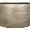 Floran Schaal Mira D29 H14cm Industrieel Goud 2 Floran Schaal Mira D29 H14cm Industrieel Goud -Exporteren Tuin Helper Winkel floran schaal mira d29 h14cm industrieel goud 800x525 627e5797aafb6 l