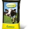 Florentus Koemestkorrel 10kg 1 Florentus Koemestkorrel 10kg -Exporteren Tuin Helper Winkel florentus koemestkorrel 10kg 1583313424 l