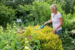 GARDENA Accu Gras- En Buxusschaar Set Accucut Li -Exporteren Tuin Helper Winkel gardena accu gras en buxusschaar set accucut li 1619704816 l