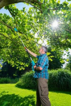 GARDENA Accu Telescopische Snoeizaag TCS 20/18 P4A Set -Exporteren Tuin Helper Winkel gardena accu telescopische snoeizaag tcs 20 18 p4a set 1000x1500 640af32266025 l