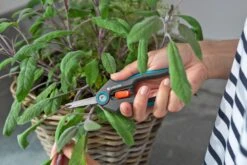 GARDENA FreshCut -Exporteren Tuin Helper Winkel gardena freshcut 1500x1000 640af8175f65c l