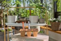 GARDENA FreshCut Set -Exporteren Tuin Helper Winkel gardena freshcut set 1500x1000 640af81aaa70a l